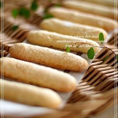 A picture of Ladyfingers.