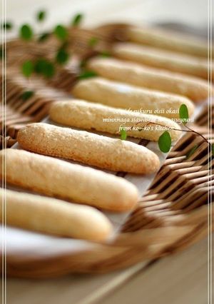 A picture of Ladyfingers.