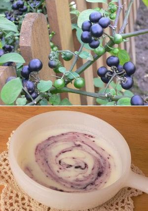 A picture of Huckleberry Jam.