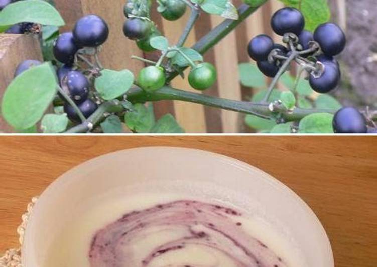 Steps to Make Perfect Huckleberry Jam