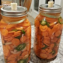 A picture of Fermented Carrots.