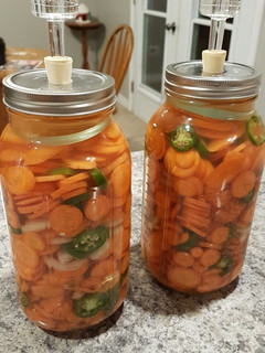 A picture of Fermented Carrots.