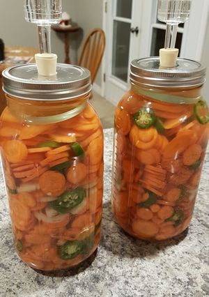 A picture of Fermented Carrots.