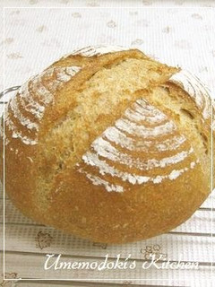 A picture of Pain de Campagne With Lots of Whole Wheat Flour.