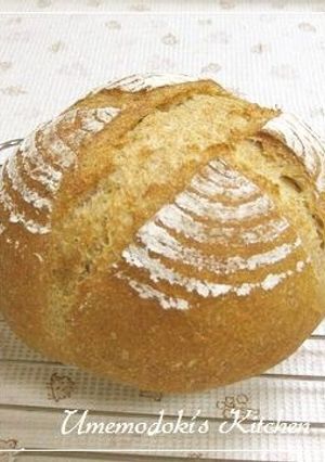 A picture of Pain de Campagne With Lots of Whole Wheat Flour.