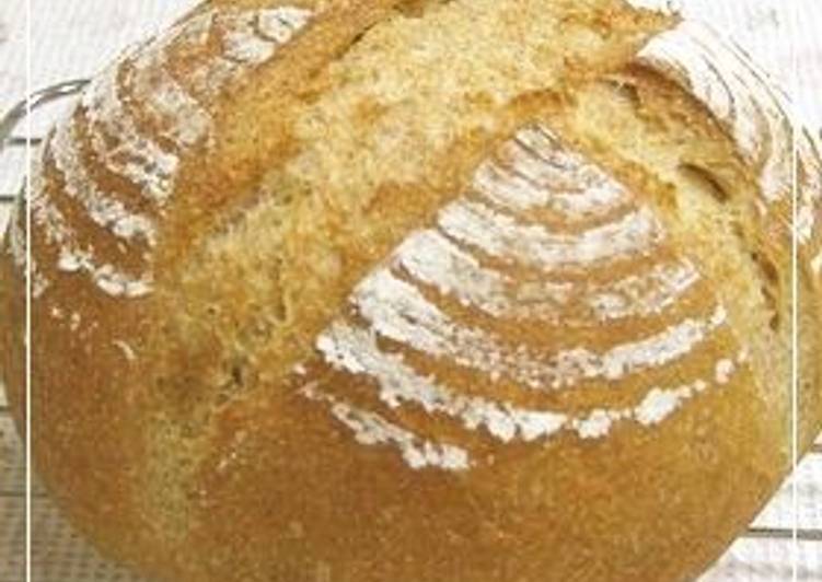 Recipe of Any-night-of-the-week Pain de Campagne With Lots of Whole Wheat Flour