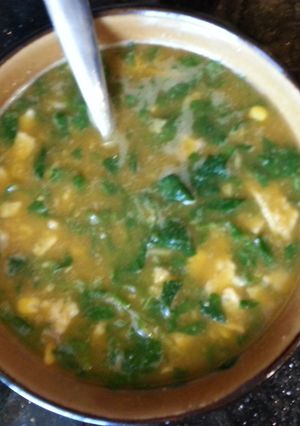 A picture of Gazpacho soup.