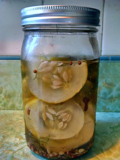A picture of Spicy Pickles.