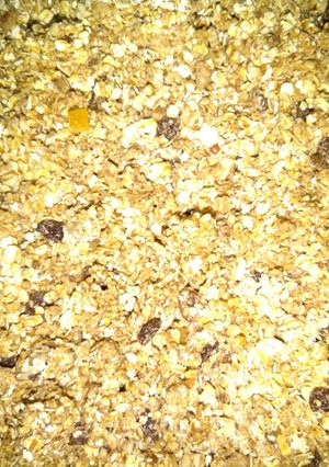 A picture of Home made Granola.