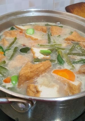 Foto resep Lodeh Spesial