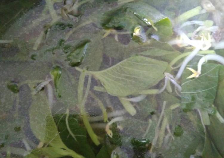 Sayur bening bayam dan toge