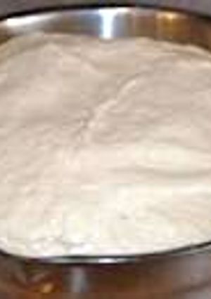 A picture of Homemade yeast dough.(for pizza, naan, buns etc).