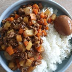 A picture of Braised minced pork with potato and carrot.