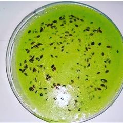 A picture of Palak Raita | Spinach Raita.