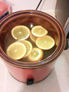 A picture of Hot Apple Cider.