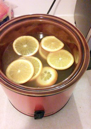 A picture of Hot Apple Cider.