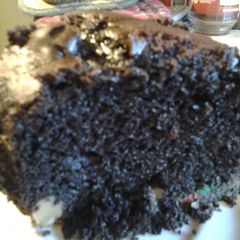 Rocky Chocolate Cake A picture of Rocky Chocolate Cake.