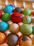 Kool-aid Eggs