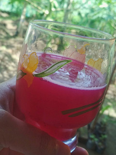 Foto resep Jus Naga Enak dan Sehat