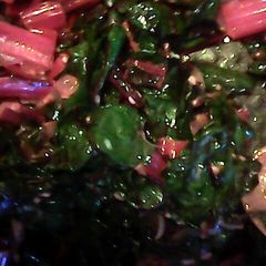A picture of Sauteed Swiss Chard with Parmesan Cheese.