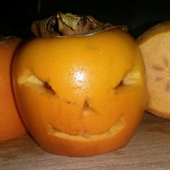 A picture of Sig's Persimmon Lanterns.