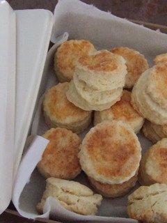 A picture of Plain Scones.