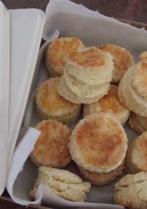 A picture of Plain Scones.