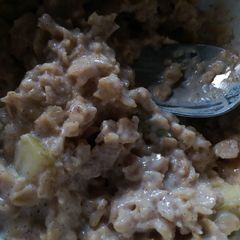 A picture of Apple cinnamon porridge!.