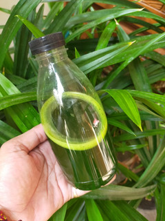 Foto resep Sari Pandan