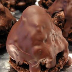 A picture of Chocolate indulgence.