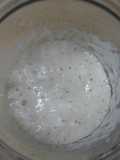 For Beginners: Yogurt Bread Starter (Leaven)