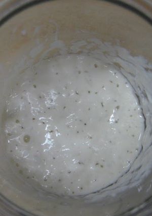 A picture of For Beginners: Yogurt Bread Starter (Leaven).