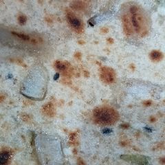 A picture of Onion paratha.