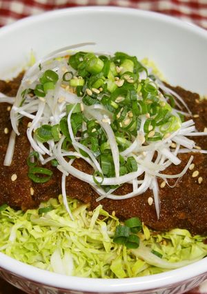 A picture of Kastu Rice Bowl with Gunma Prefecture-Style Sauce.