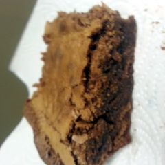 A picture of Kayla's chewy fudgy brownies.