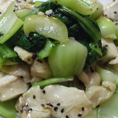 A picture of Sesame Flavored Tender Chicken Breasts and Bok Choy.
