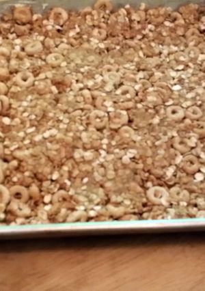 A picture of No bake flax seed PB granola bars.