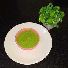 Mint capsicum sandwich chutney-レシピのメイン写真