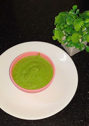 A picture of Mint capsicum sandwich chutney.