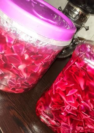 عکسی از دستور ترشی پیچ کلم 😋