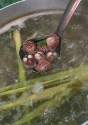Foto resep Kerang Dara Rebus