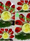 Chenna Rasmalai