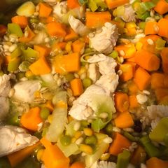A picture of Chicken and Sweet Potato Broth.