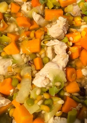 A picture of Chicken and Sweet Potato Broth.