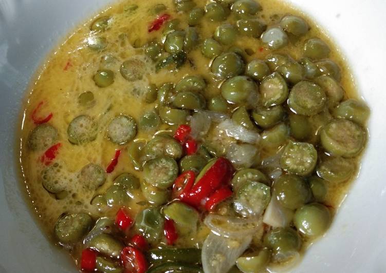 Santan campuka(leunca)