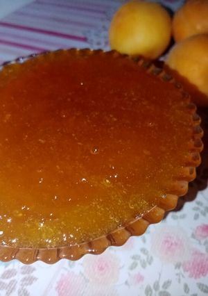 صورة لوصفة مربى المشمش 🍑