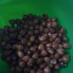 A picture of Oil free Kalay chaney.