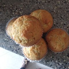 Vanilla cupcakes A picture of Vanilla cupcakes.