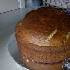 A picture of Vanilla sponge cake.