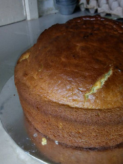 A picture of Vanilla sponge cake.